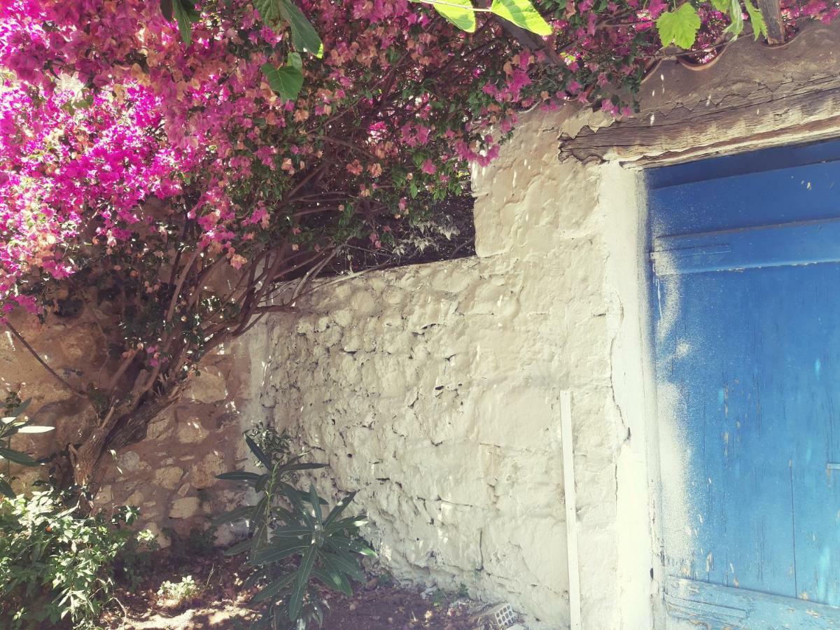 Villa Avli カルダミリ エクステリア 写真